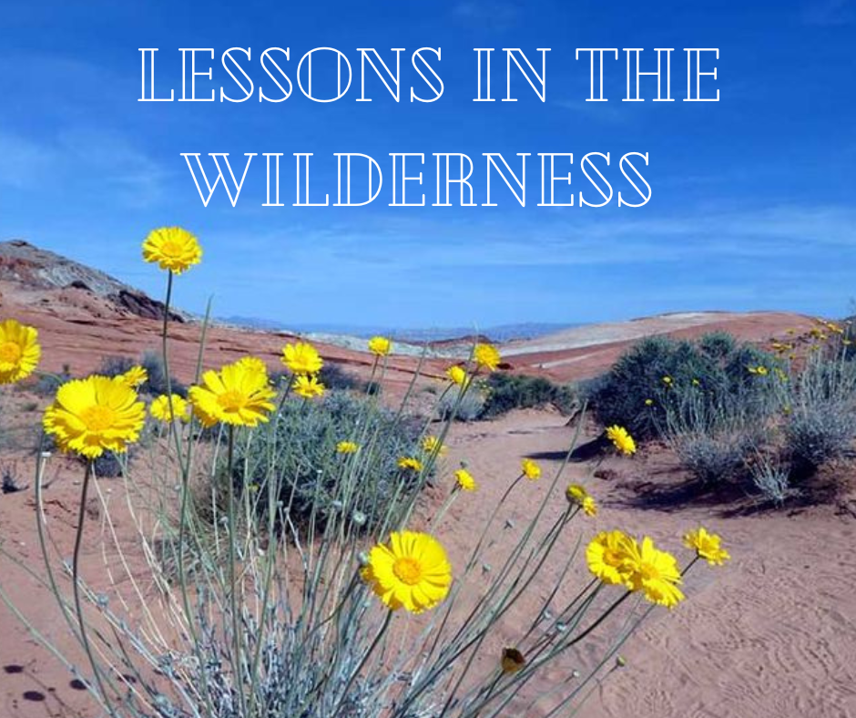 Lessons in the Wilderness